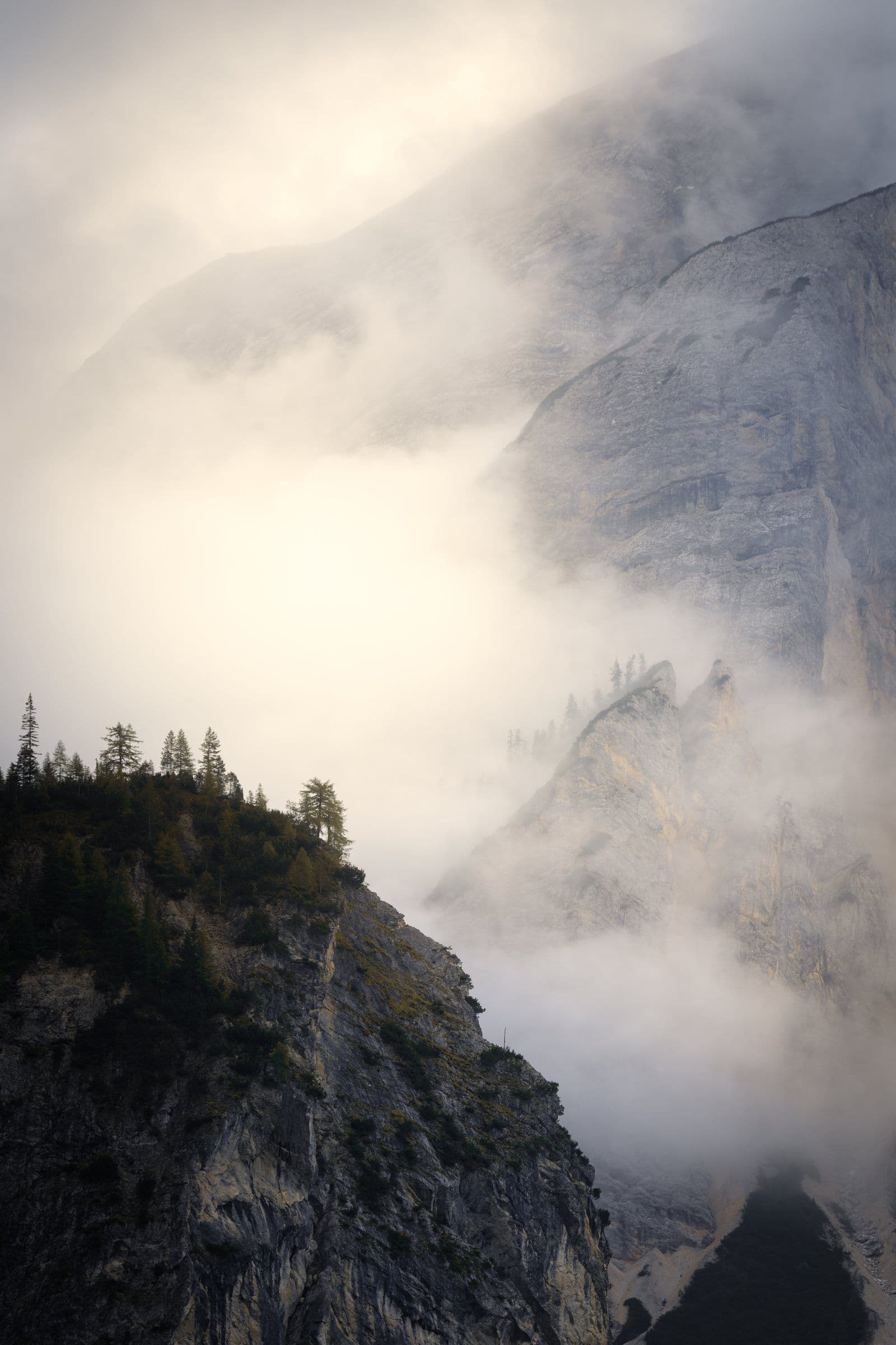 Larches on a cliff edge with fog pouring past a rock wall