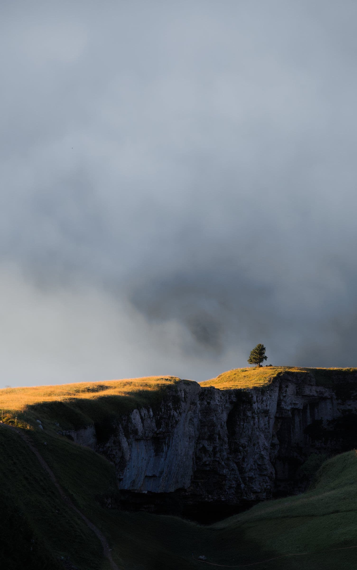 A single tree on a sunlit cliff under storm clouds