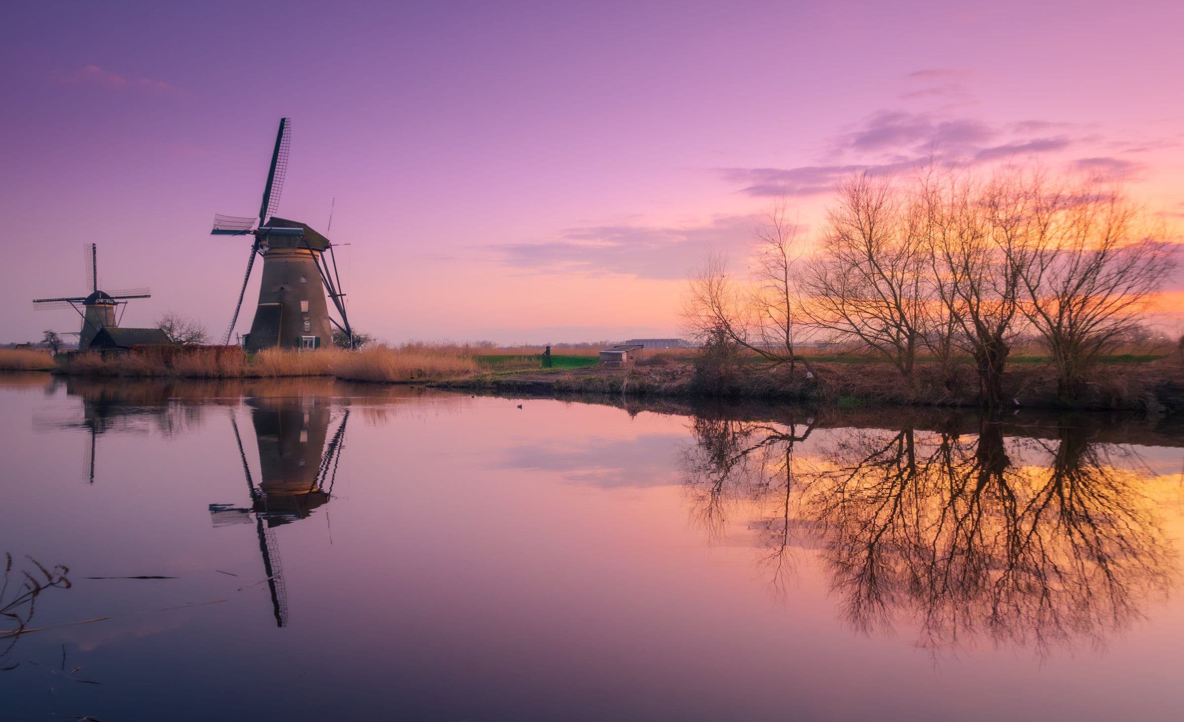Windmills mirrored in still water at blue hour
